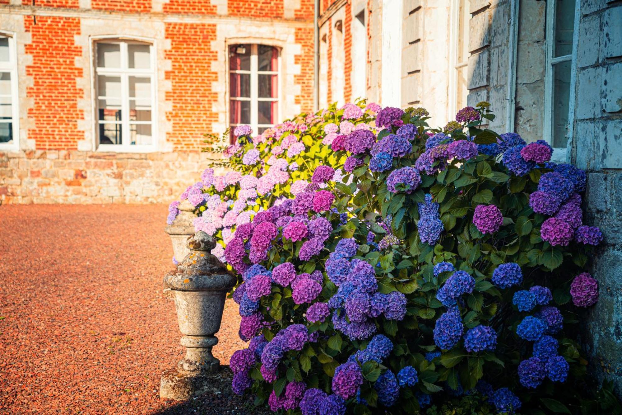 Chambres D'Hotes & Gites Du Chateau De Grand Rullecourt Eksteriør billede