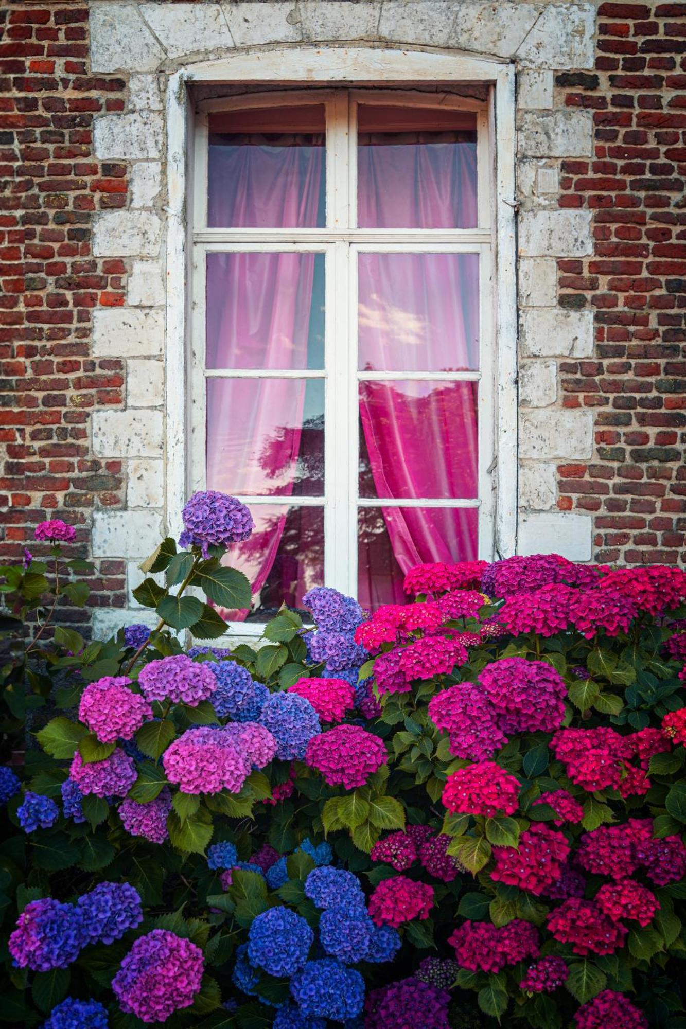 Chambres D'Hotes & Gites Du Chateau De Grand Rullecourt Eksteriør billede