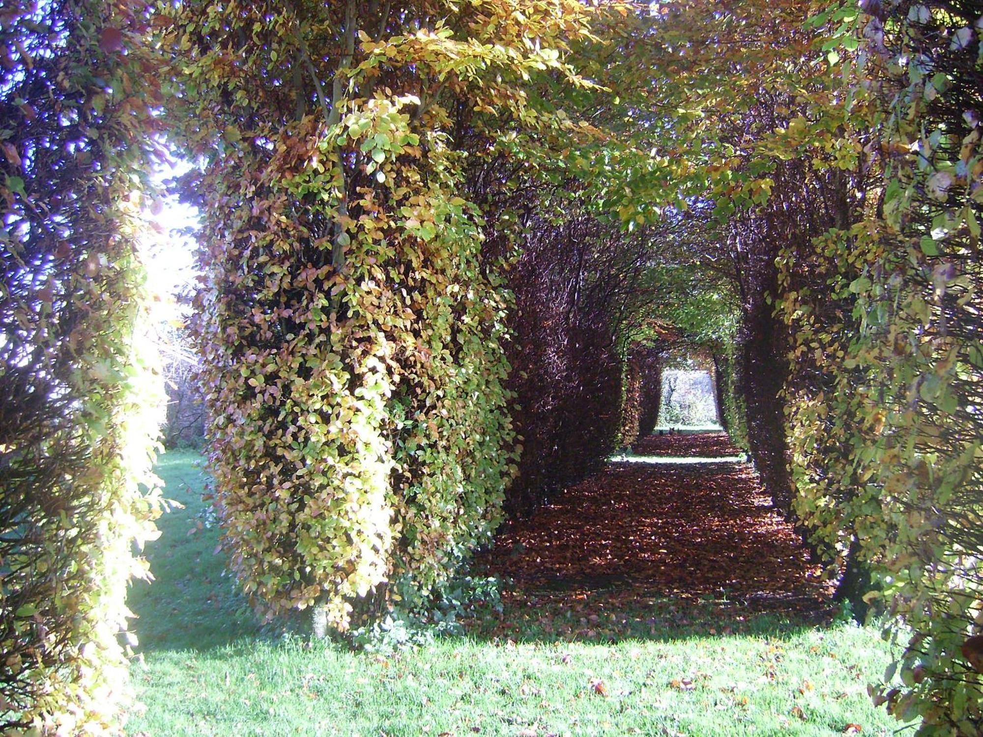 Chambres D'Hotes & Gites Du Chateau De Grand Rullecourt Eksteriør billede